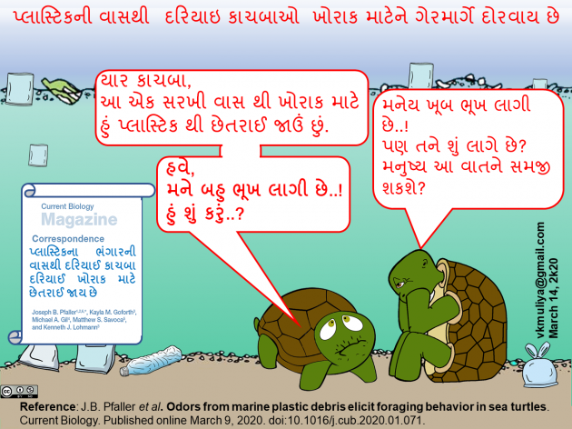 Gujarati Blog by Vishal Muliya : 111363406