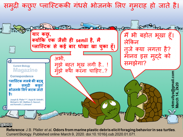 Hindi Blog by Vishal Muliya : 111363407