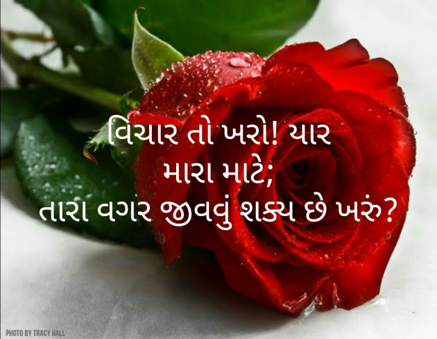 Gujarati Thought by Kulsoom : 111363466
