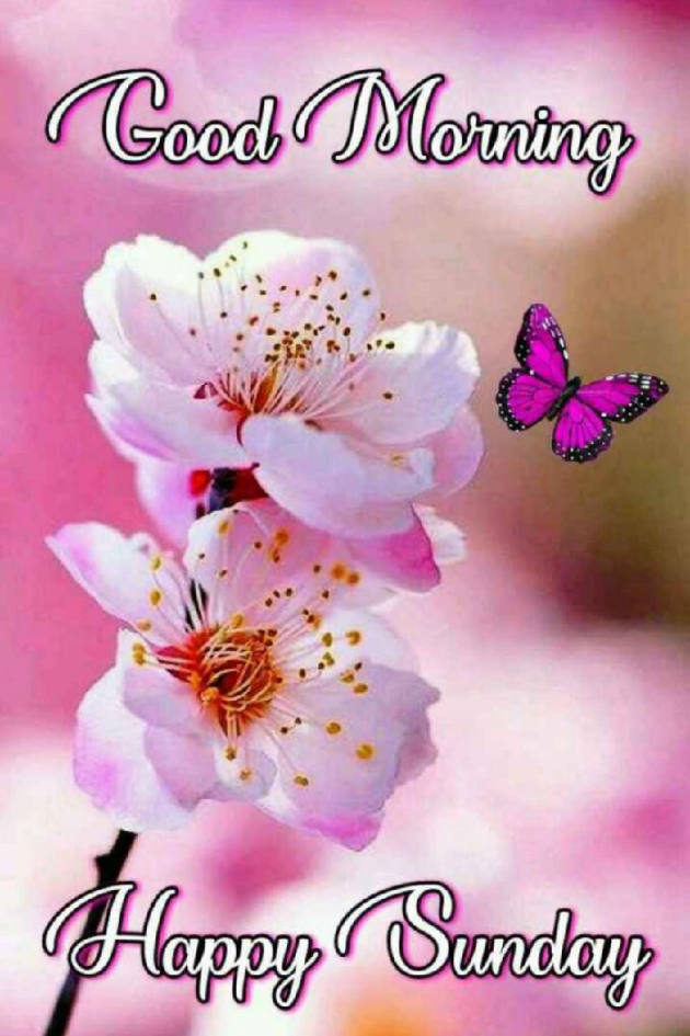 Gujarati Quotes by Viren Chauhan  Viren Chauhan : 111363622