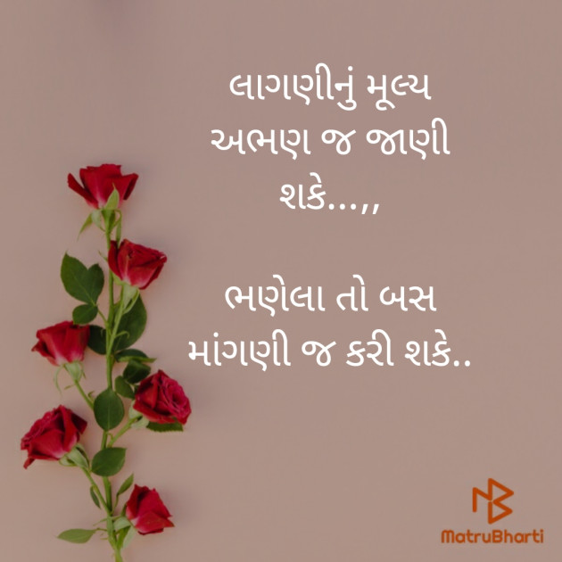 Gujarati Blog by રાધે રાધે : 111363669