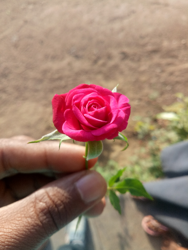 Gujarati Thought by aswin patanvadiya : 111363864