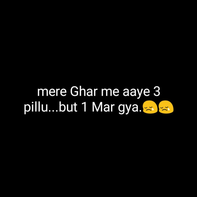 Hindi Blog by Dnehad : 111364164