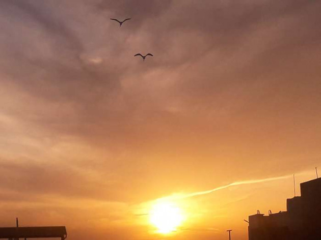 Gujarati Blog by Jagruti Tanna.... Janki : 111364375