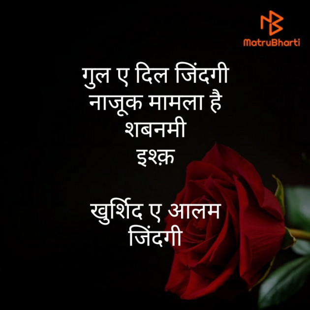 Hindi Shayri by મોહનભાઈ આનંદ : 111364436