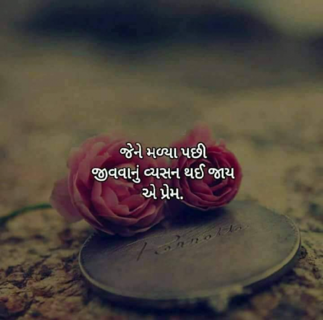 Gujarati Motivational by Mufaddal Sadikot : 111364584