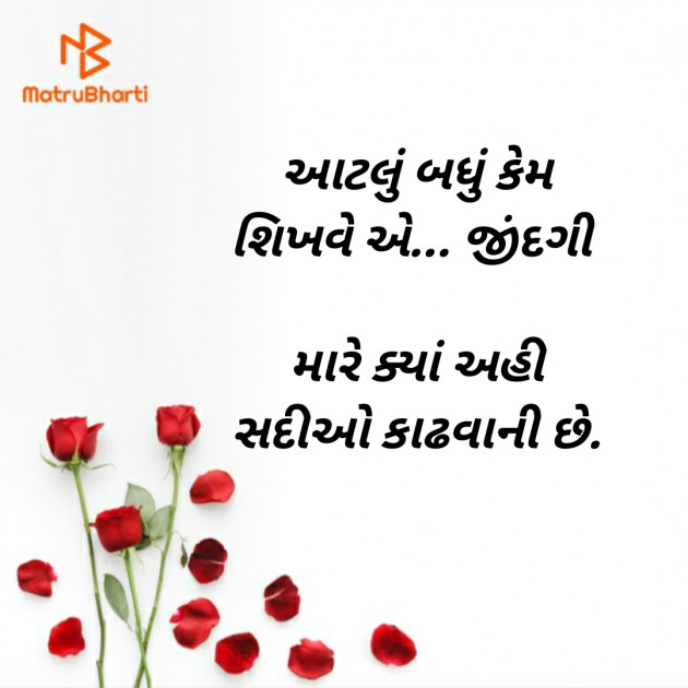 Gujarati Blog by રાધે રાધે : 111364749