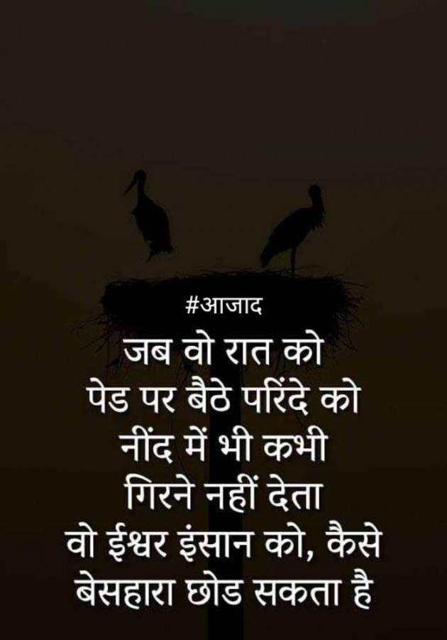 Hindi Blog by संजय कुमार दवे : 111365376