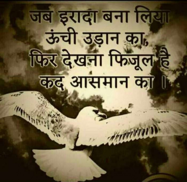 English Shayri by Naren Makwana : 111366299
