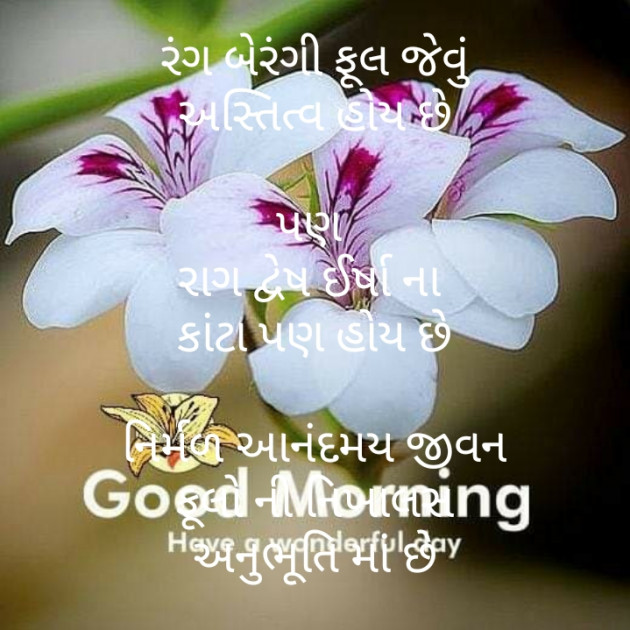 Gujarati Motivational by મોહનભાઈ આનંદ : 111366593