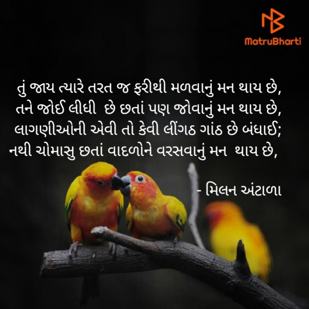 Gujarati Romance by Milan Antala : 111367085