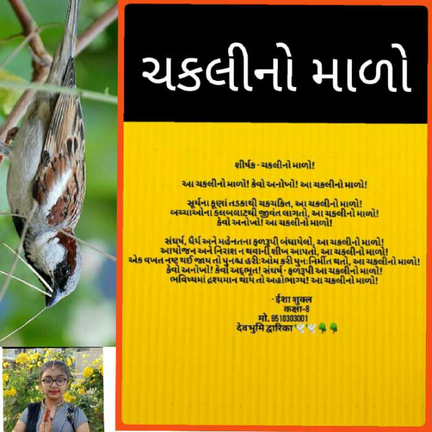 Gujarati Poem by Damyanti Shukla Horiya : 111368908