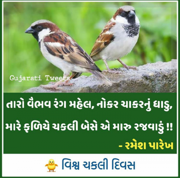 Gujarati Thought by Ashish Parmar : 111369105