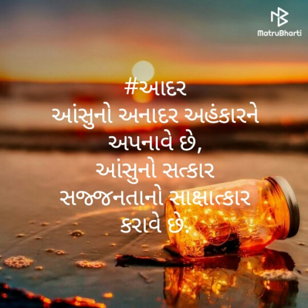 Gujarati Blog by Vaishali Bhoi : 111369240