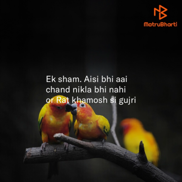 Hindi Song by Saroj Bhagat : 111370148