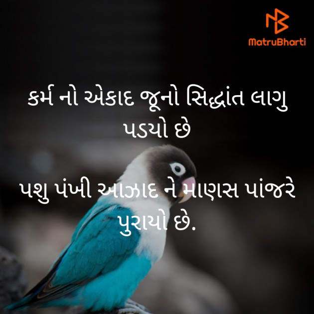 Gujarati Motivational by M. Husain Jethva : 111371397