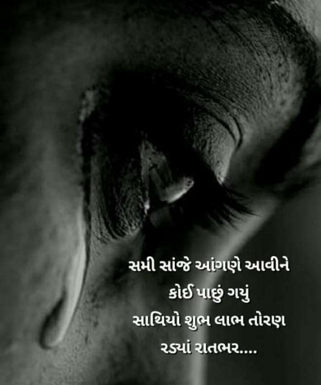 Gujarati Microfiction by Vira : 111371887