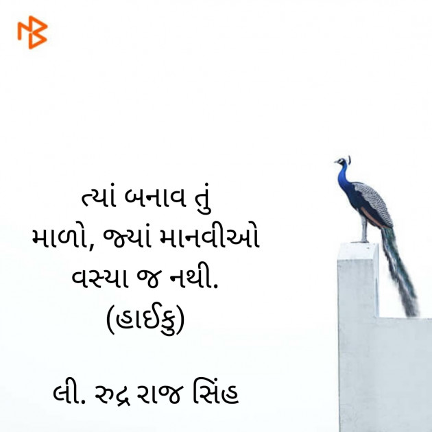 Gujarati Hiku by Rudrarajsinh : 111372211