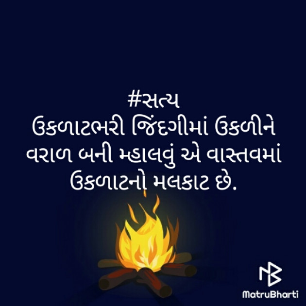 Gujarati Blog by Vaishali Bhoi : 111372326
