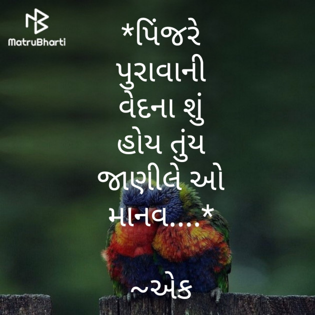Gujarati Whatsapp-Status by Parmar Narvirsinh : 111372751