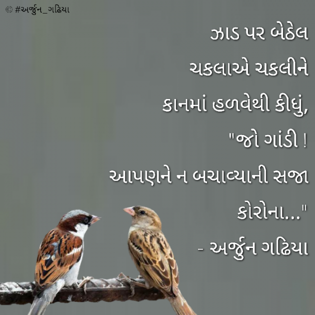 Gujarati Poem by Arjun Gadhiya : 111373201