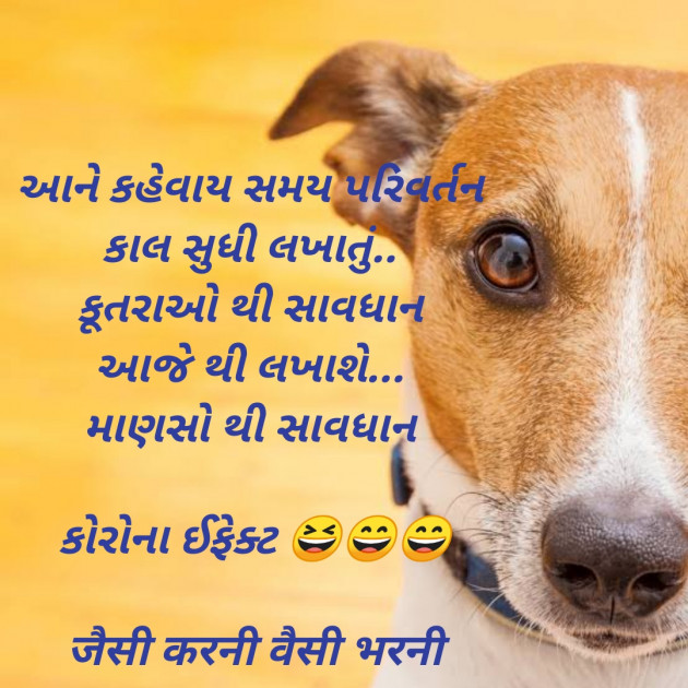 Gujarati Funny by Angel : 111374056