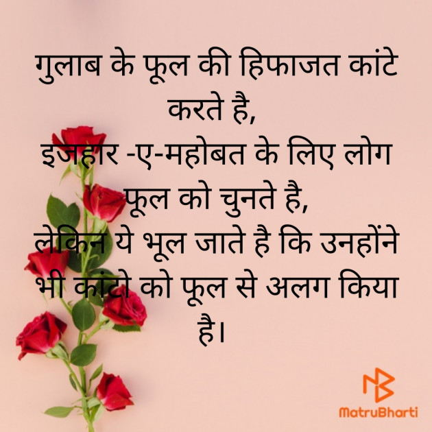 Hindi Blog by Needhi Patel : 111374285