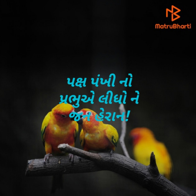 Gujarati Hiku by Parmar Mayur : 111374811