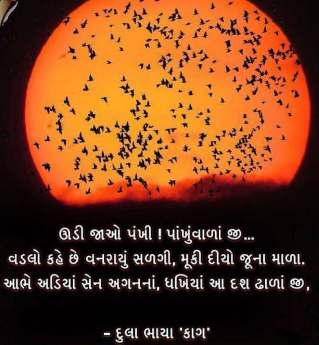 Gujarati Poem by Rathod Ranjan : 111374835