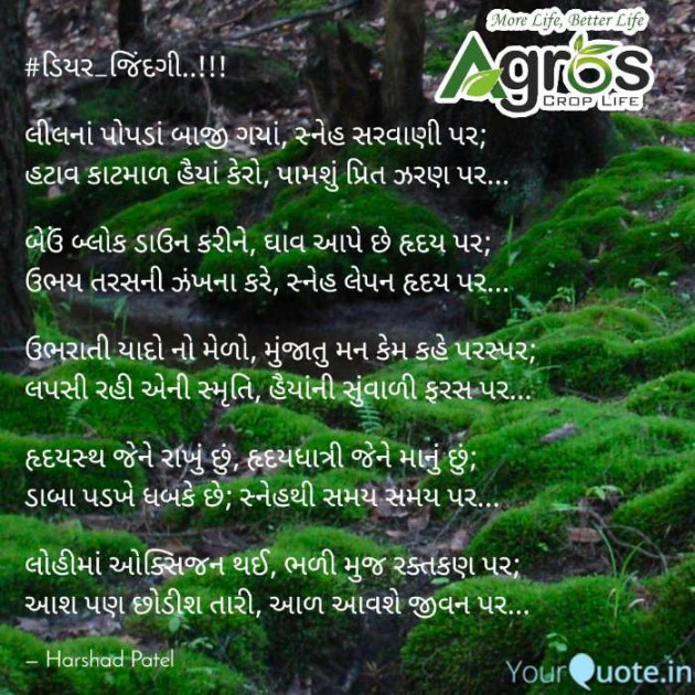 Gujarati Poem by HARSHADBHAI T KOTADIYA : 111375207