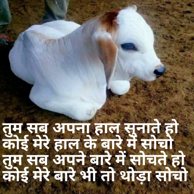 Hindi Thought by Anil Mistry https://www.youtube.com/c/BHRAMGYAN : 111375219