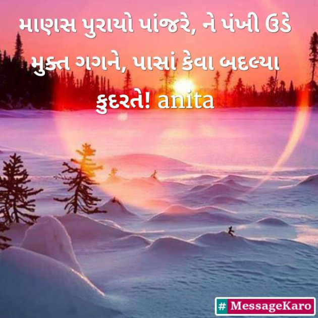 English Whatsapp-Status by Nai Anita : 111375563