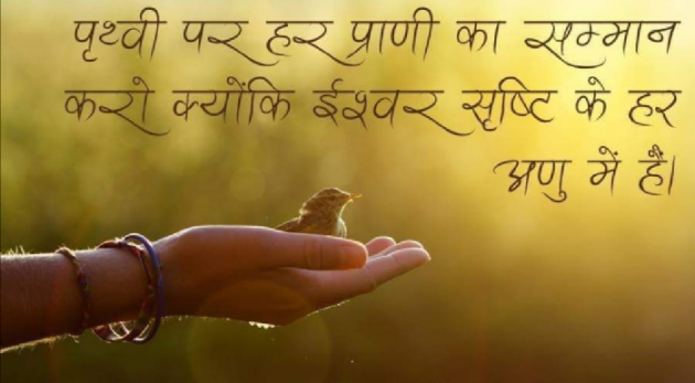 Gujarati Religious by Mahesh Dhapa : 111375610
