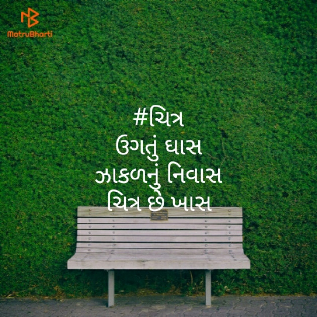 Gujarati Hiku by Vaishali Bhoi : 111376520