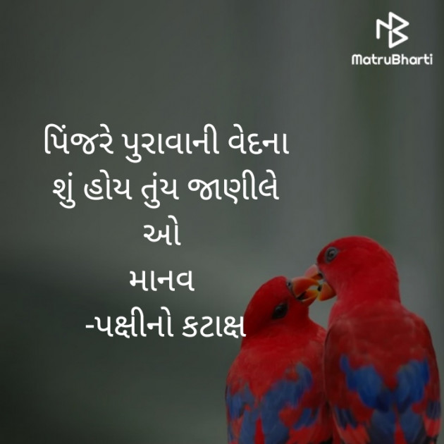 Gujarati Motivational by Sabur Bhuriya : 111378030