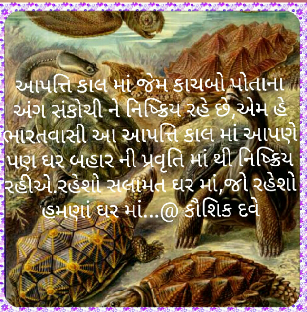 Gujarati Motivational by Kaushik Dave : 111379246