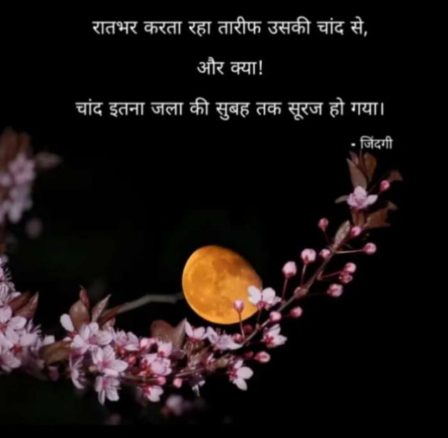 Hindi Shayri by Anil Ramavat : 111379344