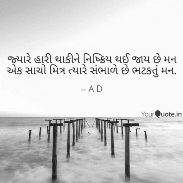 English Shayri by Mir : 111379399