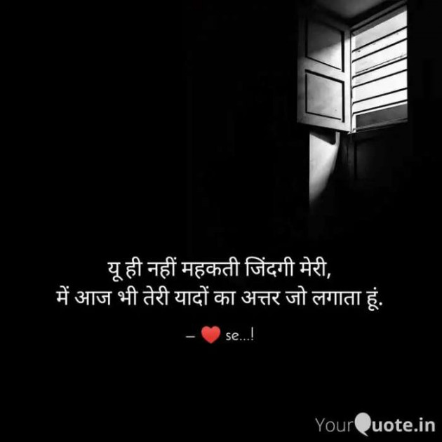 English Shayri by Chirag Prajapati : 111379709