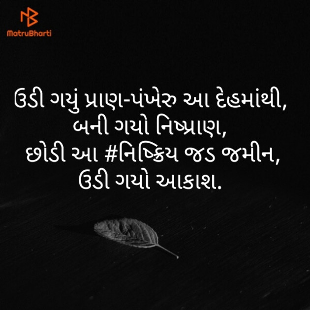Gujarati Blog by Divyesh Koriya : 111379827