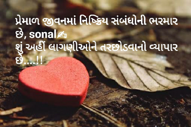 Gujarati Questions by Sonalpatadia Soni : 111379867