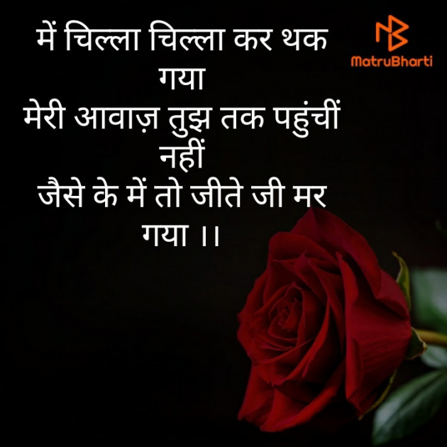 Hindi Blog by Narendra Parmar : 111379990