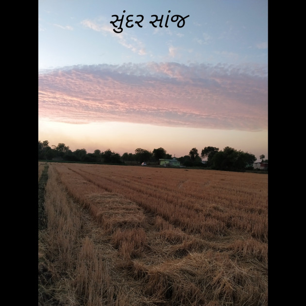 Gujarati Good Evening by Rudrarajsinh : 111379996