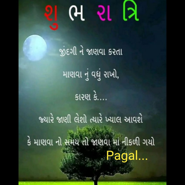 Gujarati Good Night by Manoj Leuva : 111380157