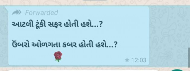 Gujarati Quotes by Miku Thaker : 111382116