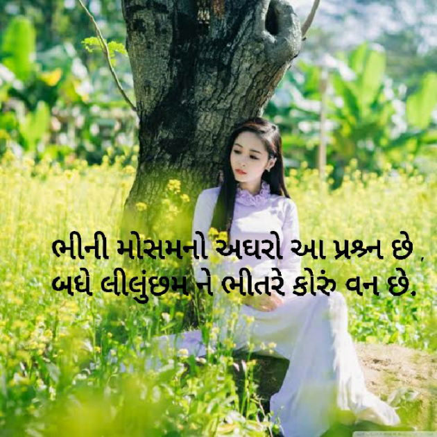 Gujarati Blog by Sonalpatadia Soni : 111382226