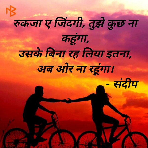 Hindi Blog by Sandeep Patel : 111382425