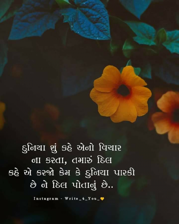 English Whatsapp-Status by Heena  Babariya : 111382640