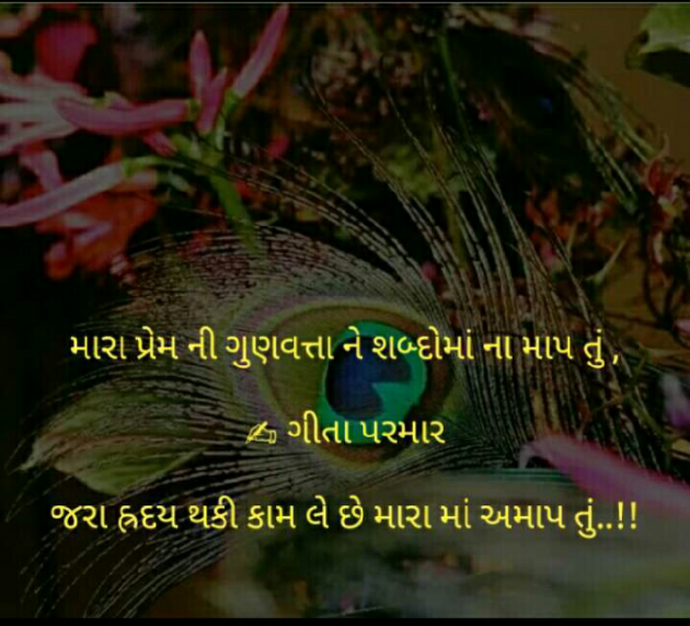 Gujarati Whatsapp-Status by Parmar Geeta : 111382870