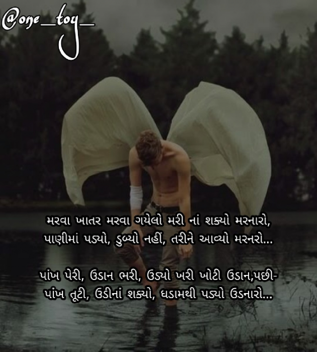 Gujarati Shayri by Umesh Charan : 111383126